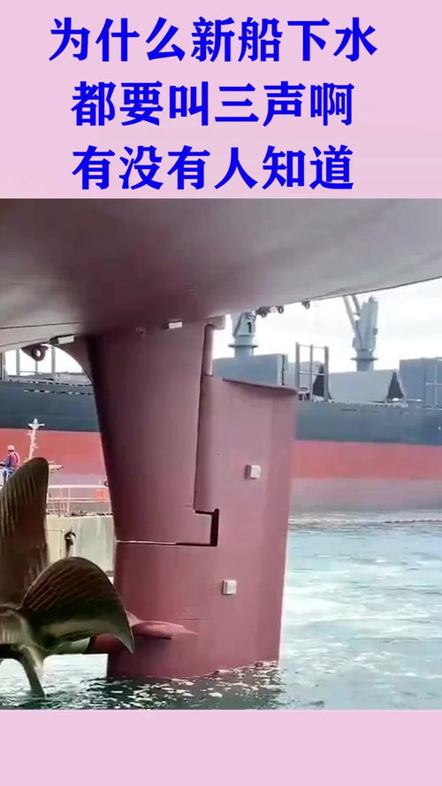 为什么新船下水,都要哭喊三声,有没有知道啊